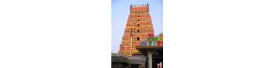 காரமடை